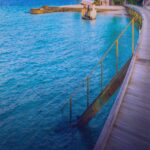 Reason and judgment are the qualities of leader